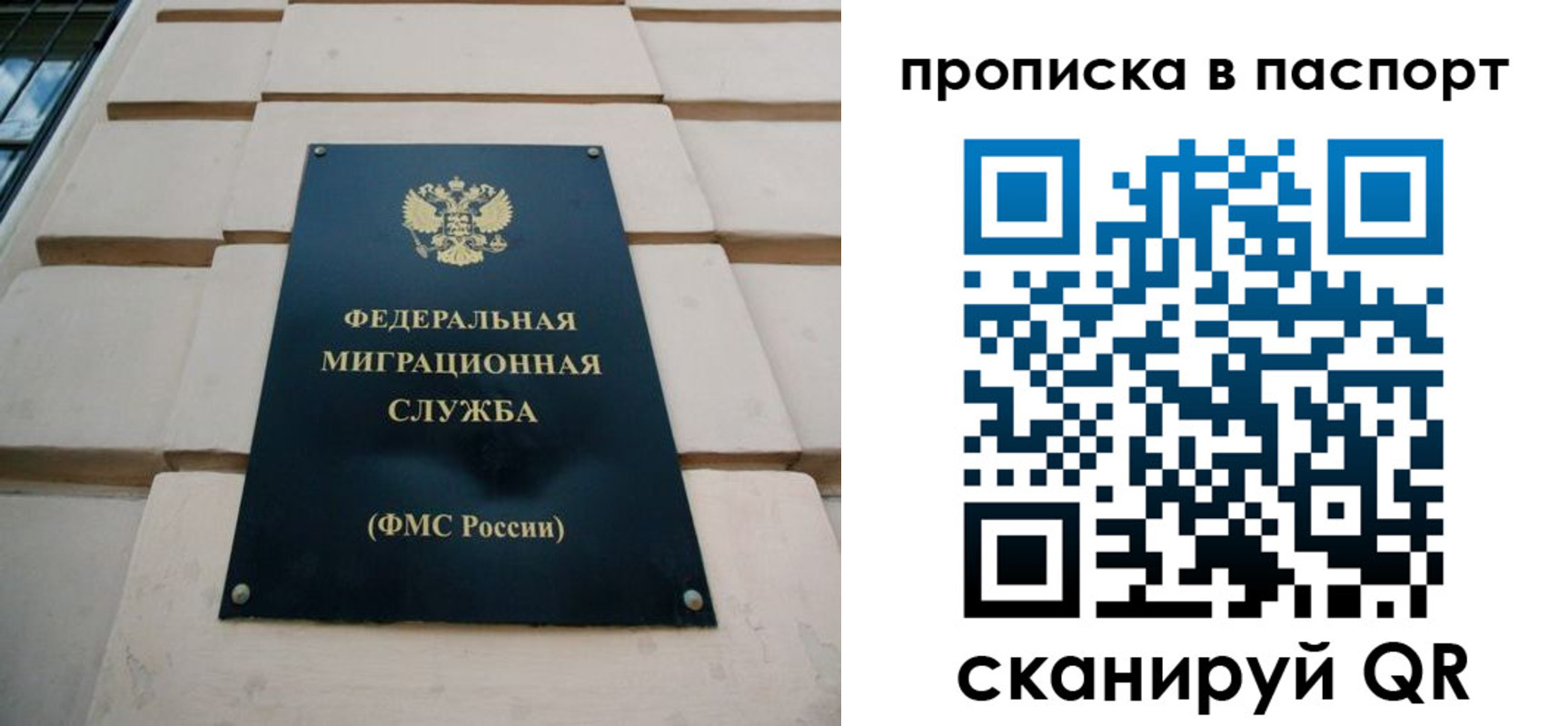 прописка для работы в Александровске